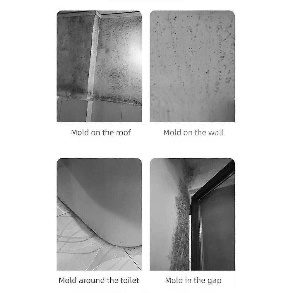 Mold remover spray