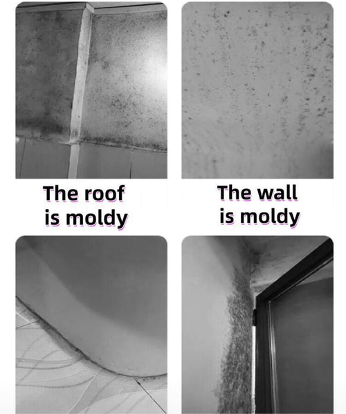 Mold remover spray