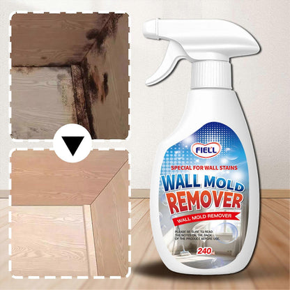 Mold remover spray