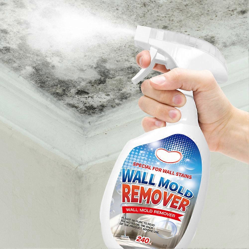 Mold remover spray
