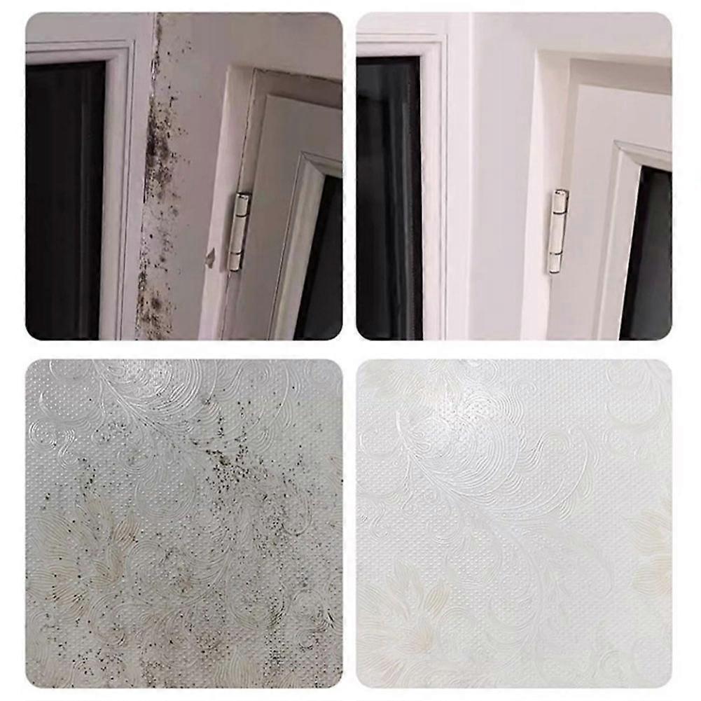 Mold remover spray